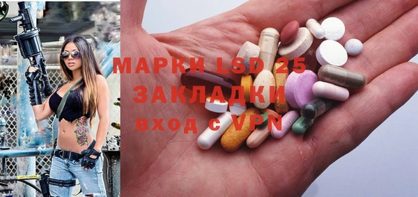 молекула духа Снежинск