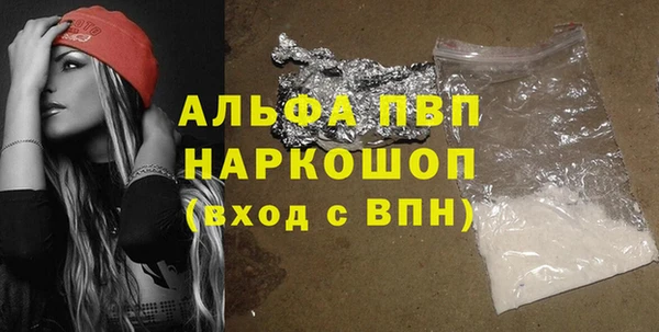 молекула духа Снежинск